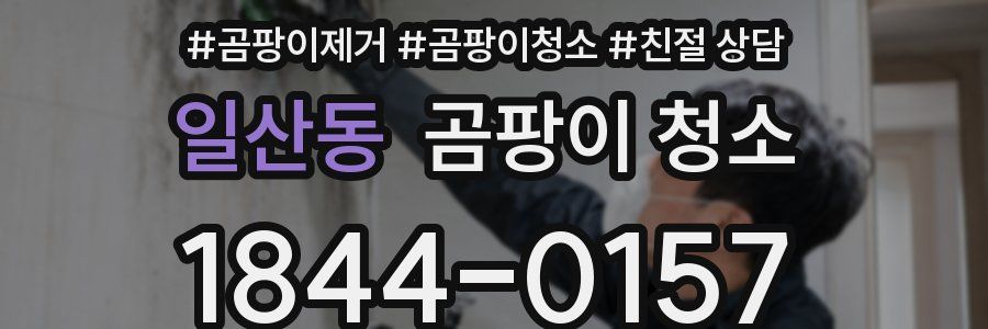 일산동 곰팡이 청소