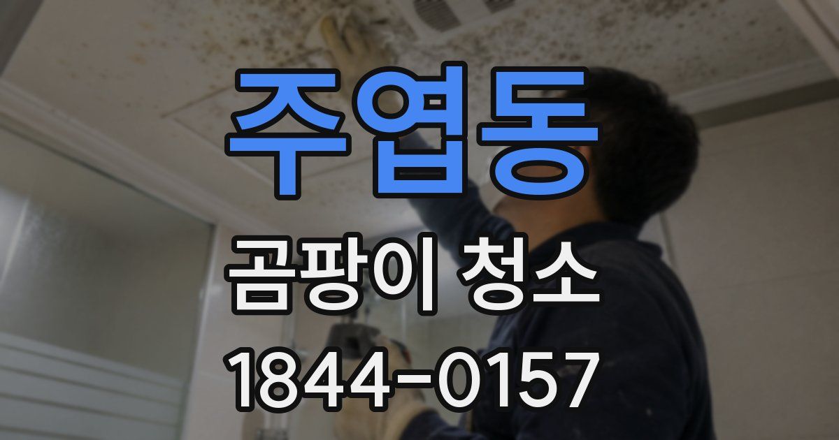 주엽동 곰팡이 청소