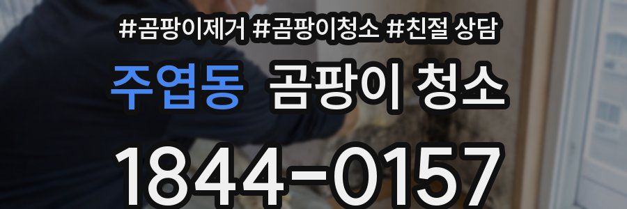 주엽동 곰팡이 청소
