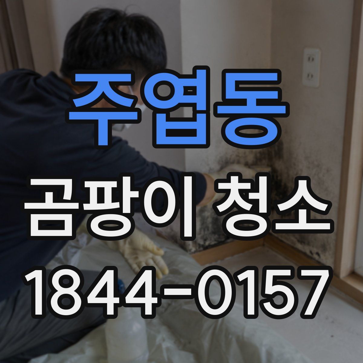 주엽동 곰팡이 청소