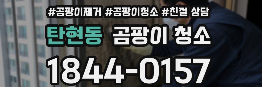 탄현동 곰팡이 청소