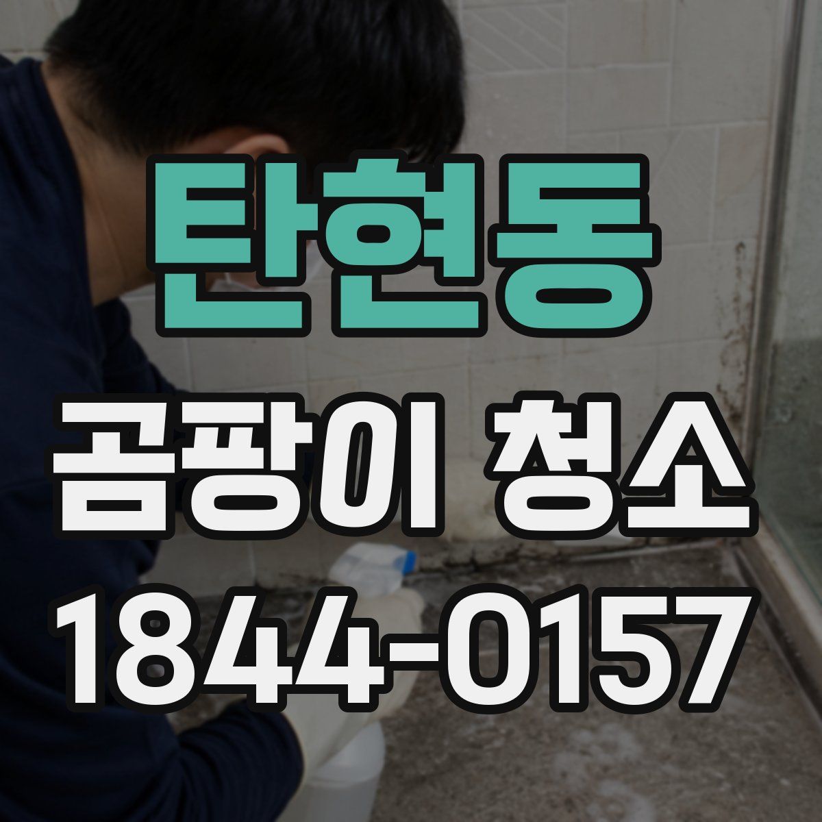 탄현동 곰팡이 청소