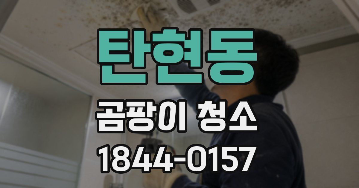 탄현동 곰팡이 청소