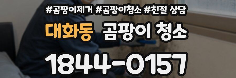 대화동 곰팡이 청소
