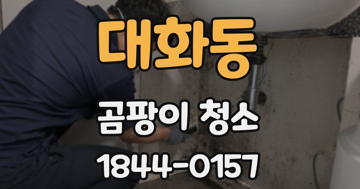 대화동 곰팡이 청소