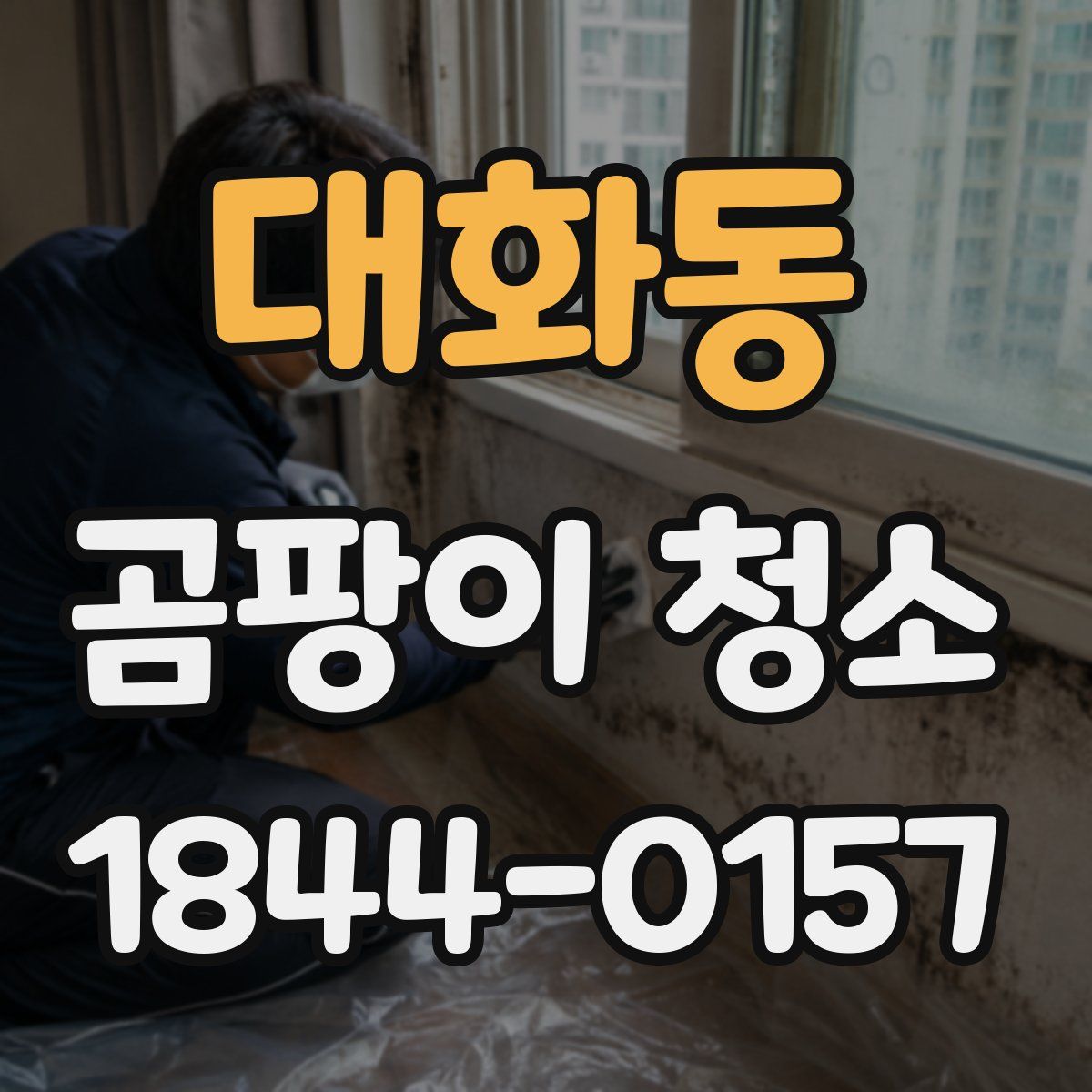 대화동 곰팡이 청소