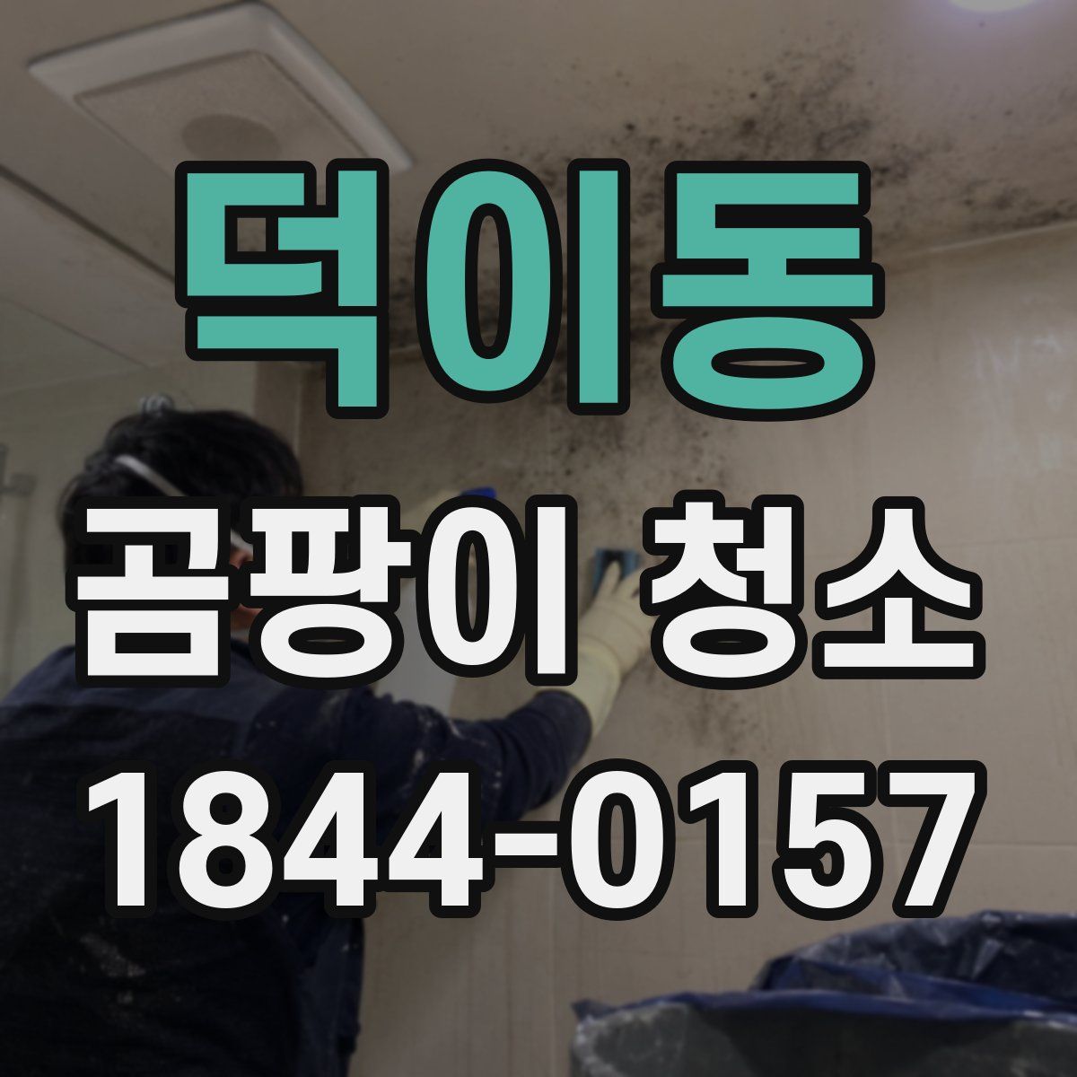 덕이동 곰팡이 청소