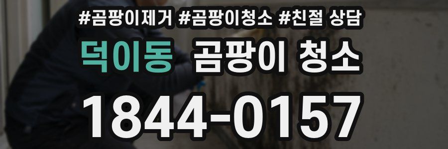 덕이동 곰팡이 청소