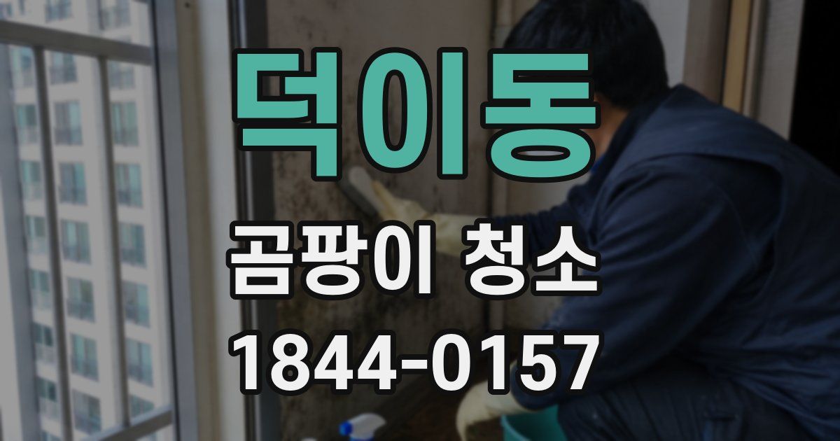 덕이동 곰팡이 청소