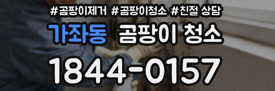 가좌동 곰팡이 청소