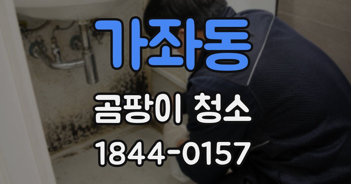 가좌동 곰팡이 청소