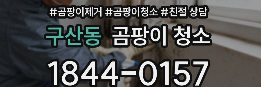 구산동 곰팡이 청소