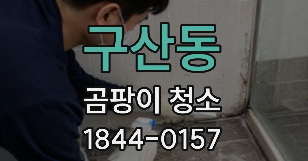 구산동 곰팡이 청소