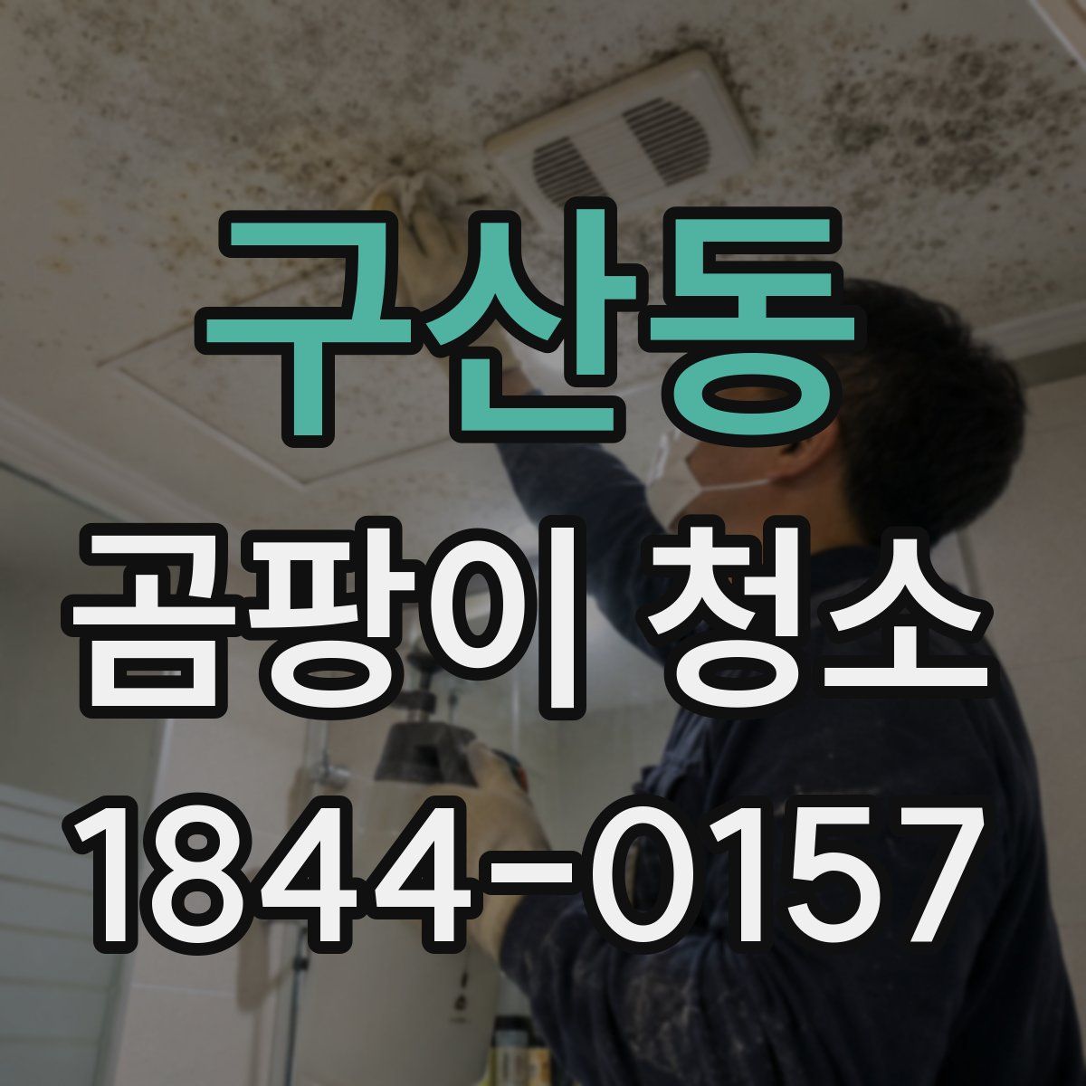 구산동 곰팡이 청소