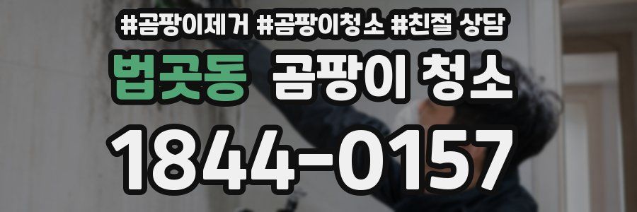 법곳동 곰팡이 청소
