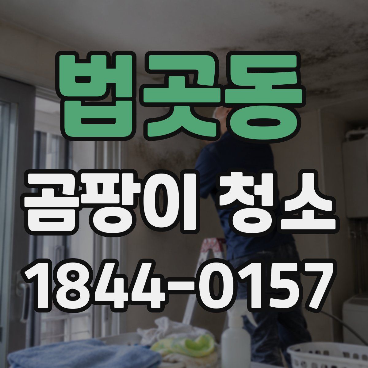 법곳동 곰팡이 청소