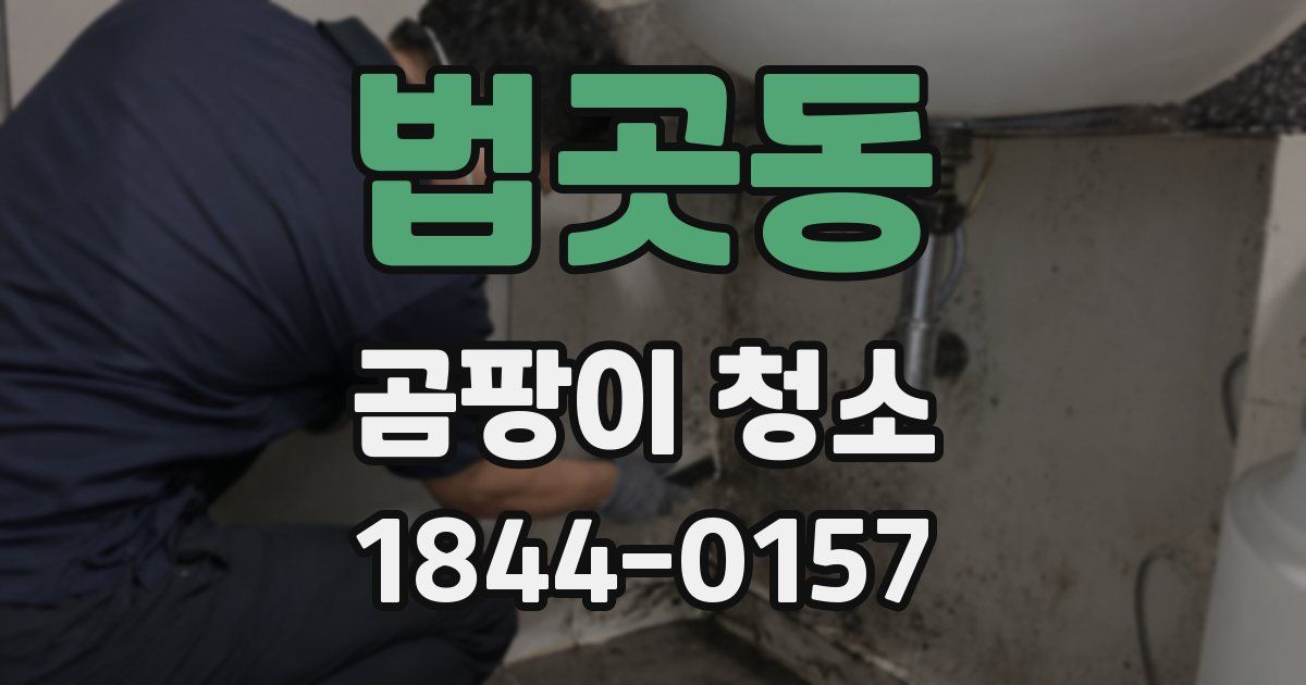 법곳동 곰팡이 청소