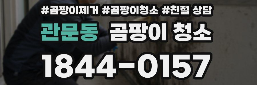 관문동 곰팡이 청소
