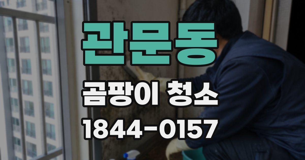관문동 곰팡이 청소