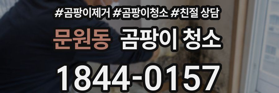 문원동 곰팡이 청소