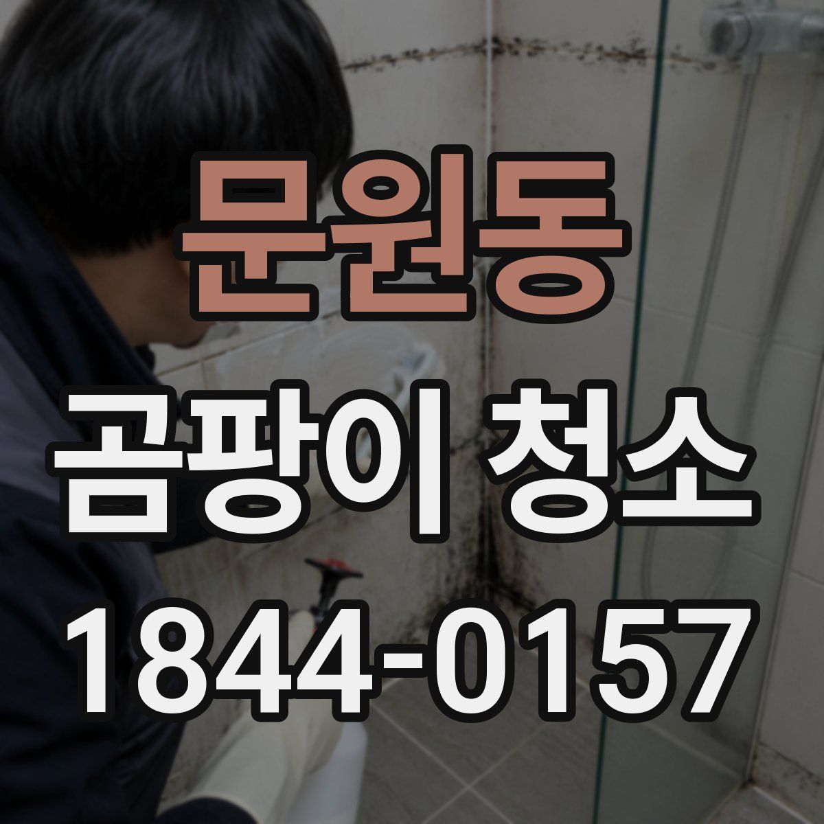 문원동 곰팡이 청소