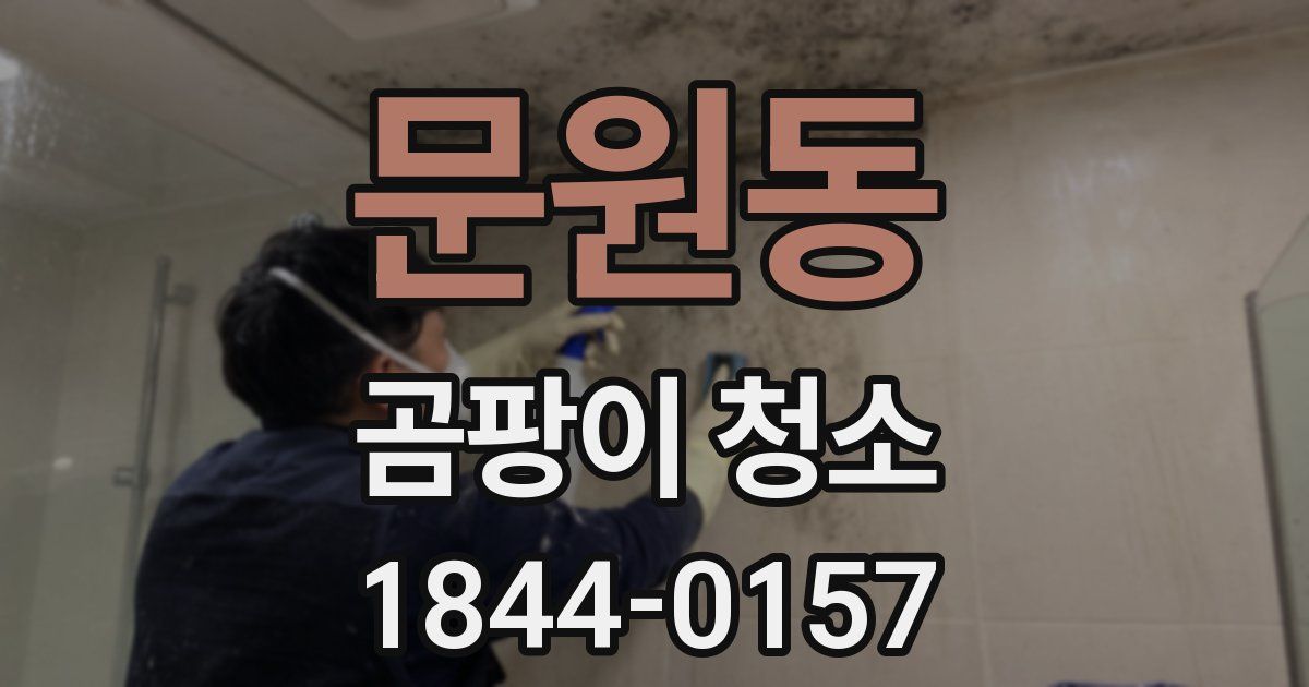 문원동 곰팡이 청소