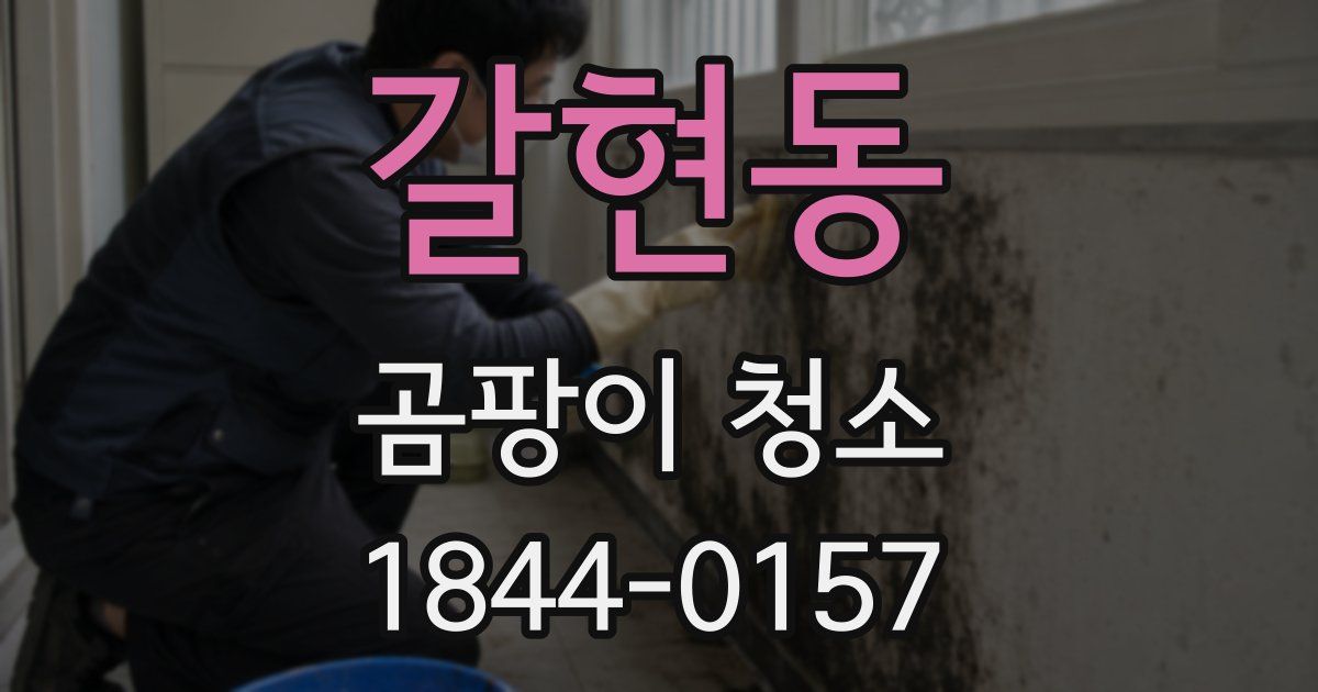 갈현동 곰팡이 청소