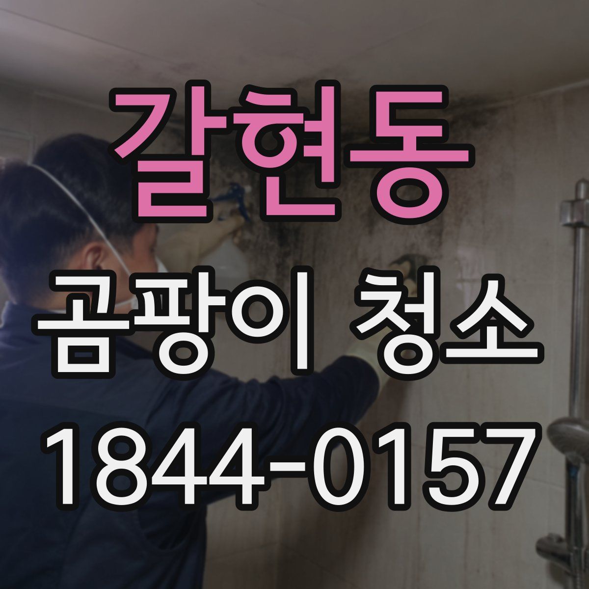 갈현동 곰팡이 청소