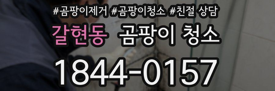 갈현동 곰팡이 청소