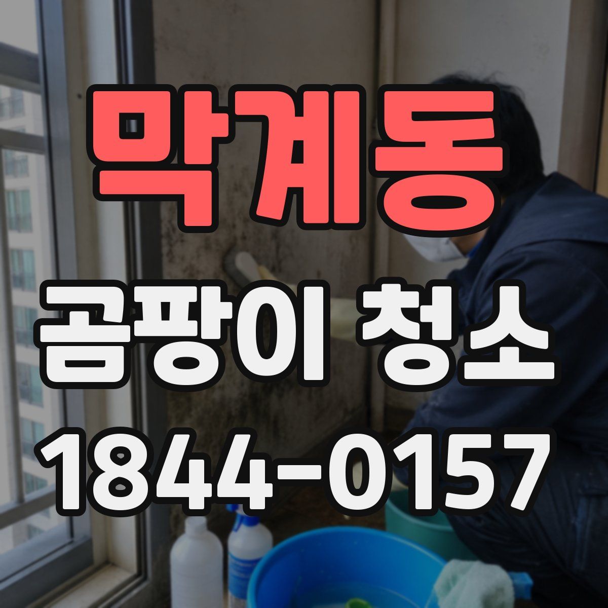 막계동 곰팡이 청소