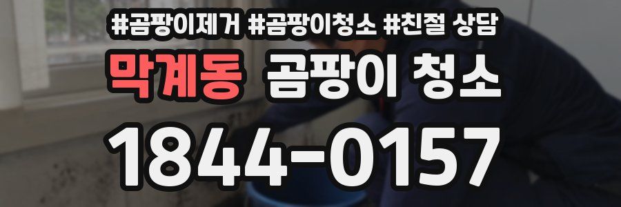 막계동 곰팡이 청소
