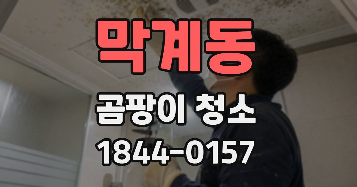 막계동 곰팡이 청소