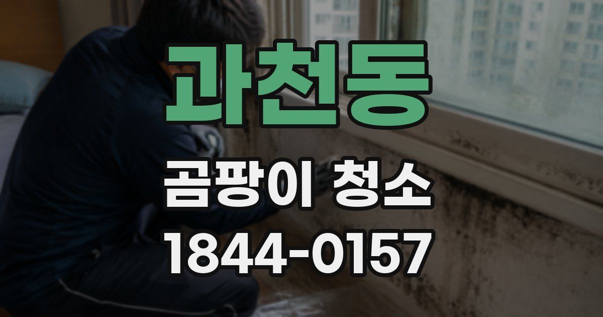 과천동 곰팡이 청소