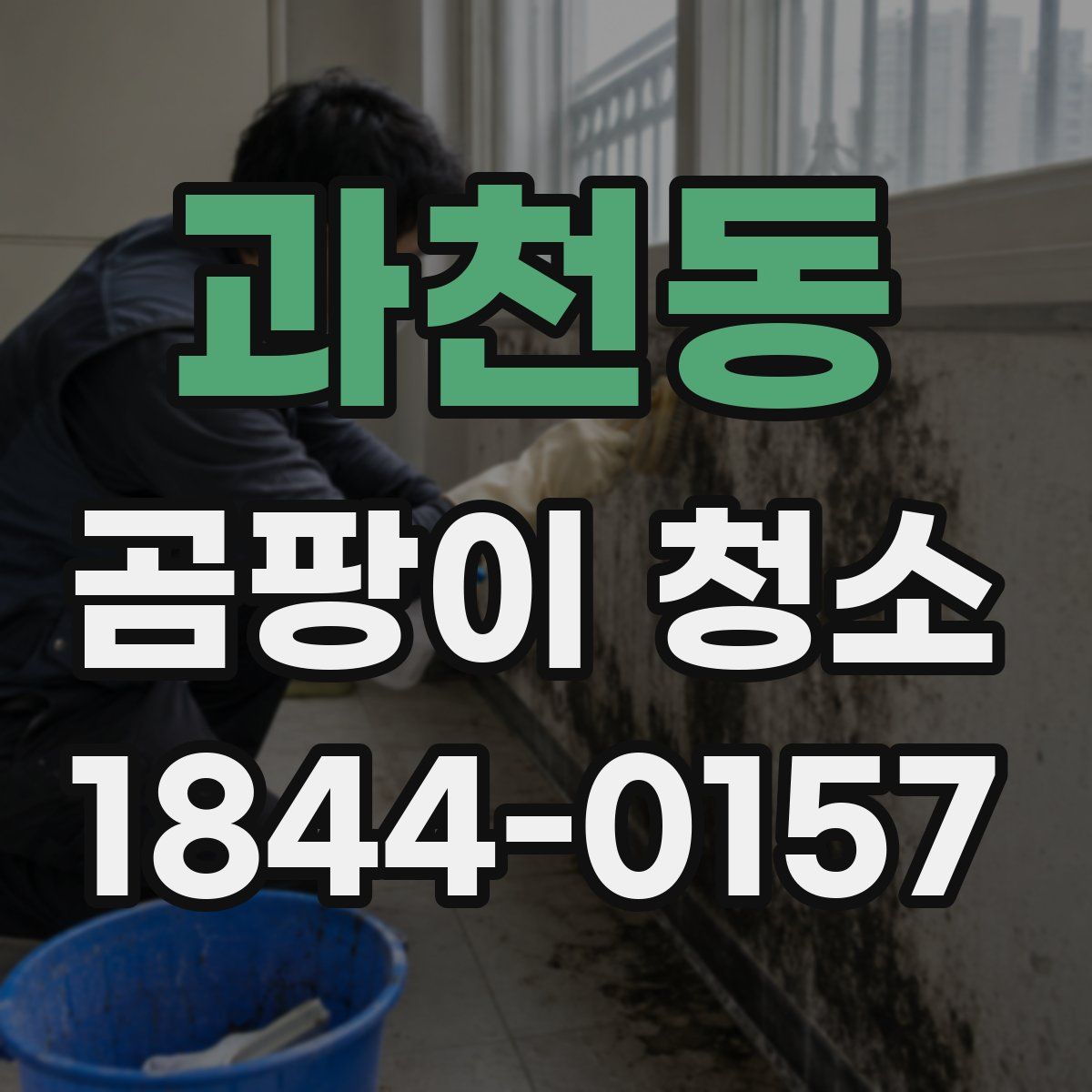 과천동 곰팡이 청소