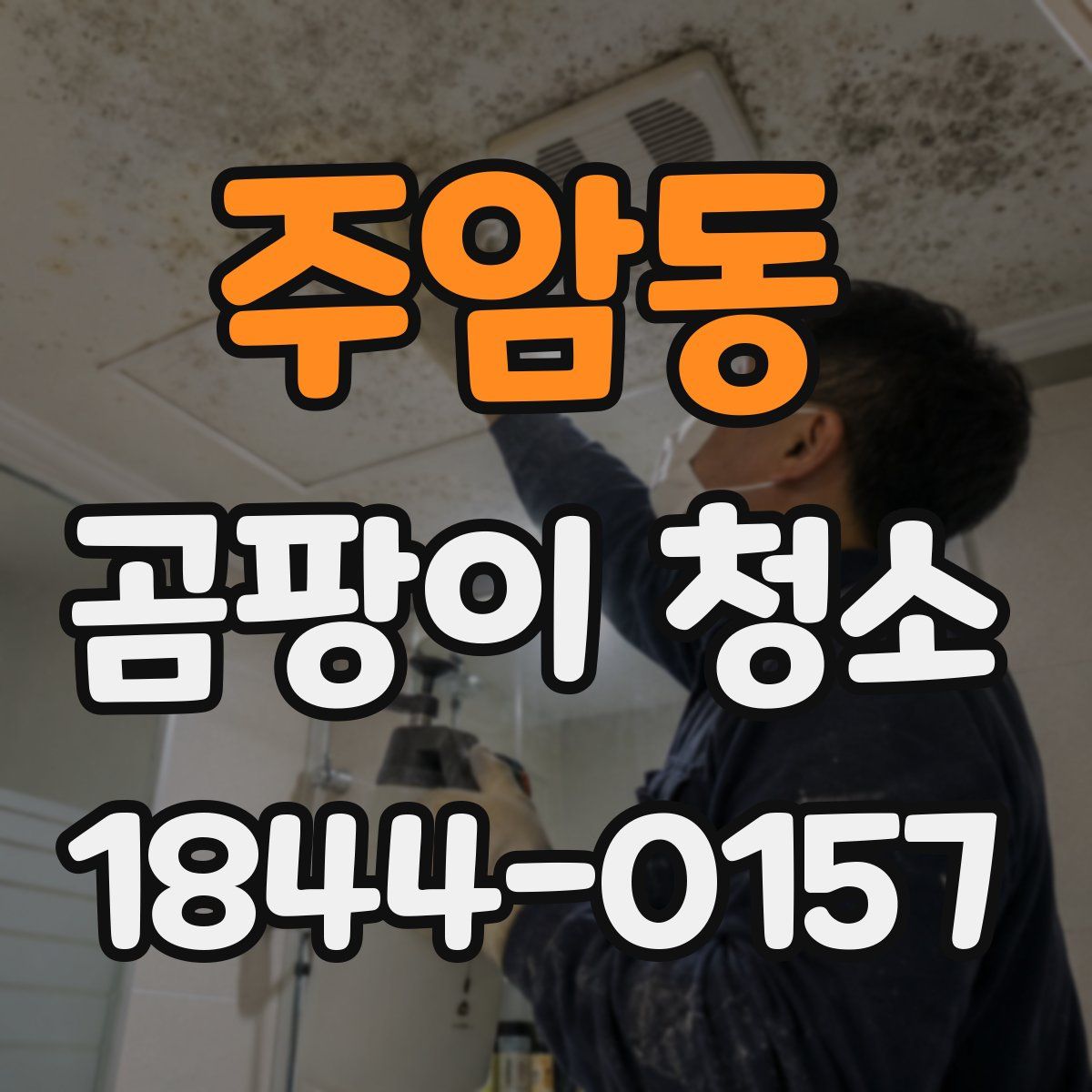 주암동 곰팡이 청소