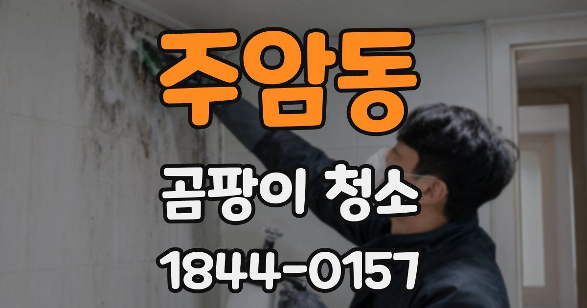 주암동 곰팡이 청소