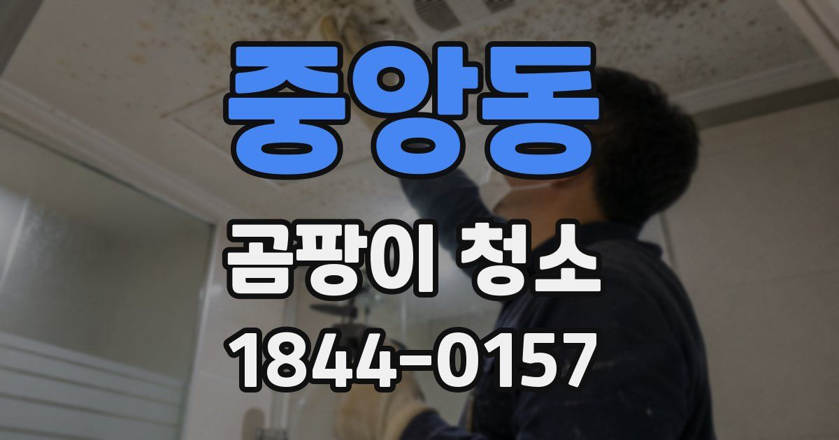 중앙동 곰팡이 청소