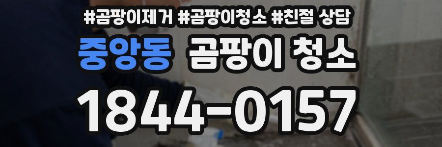 중앙동 곰팡이 청소