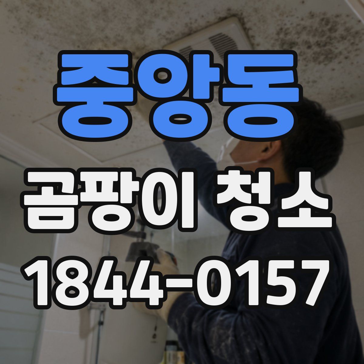 중앙동 곰팡이 청소