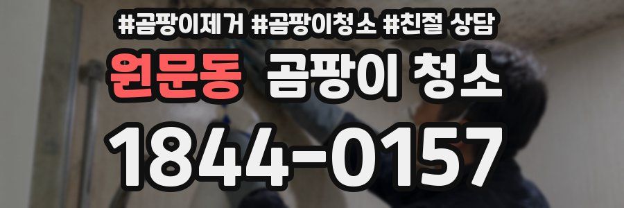 원문동 곰팡이 청소
