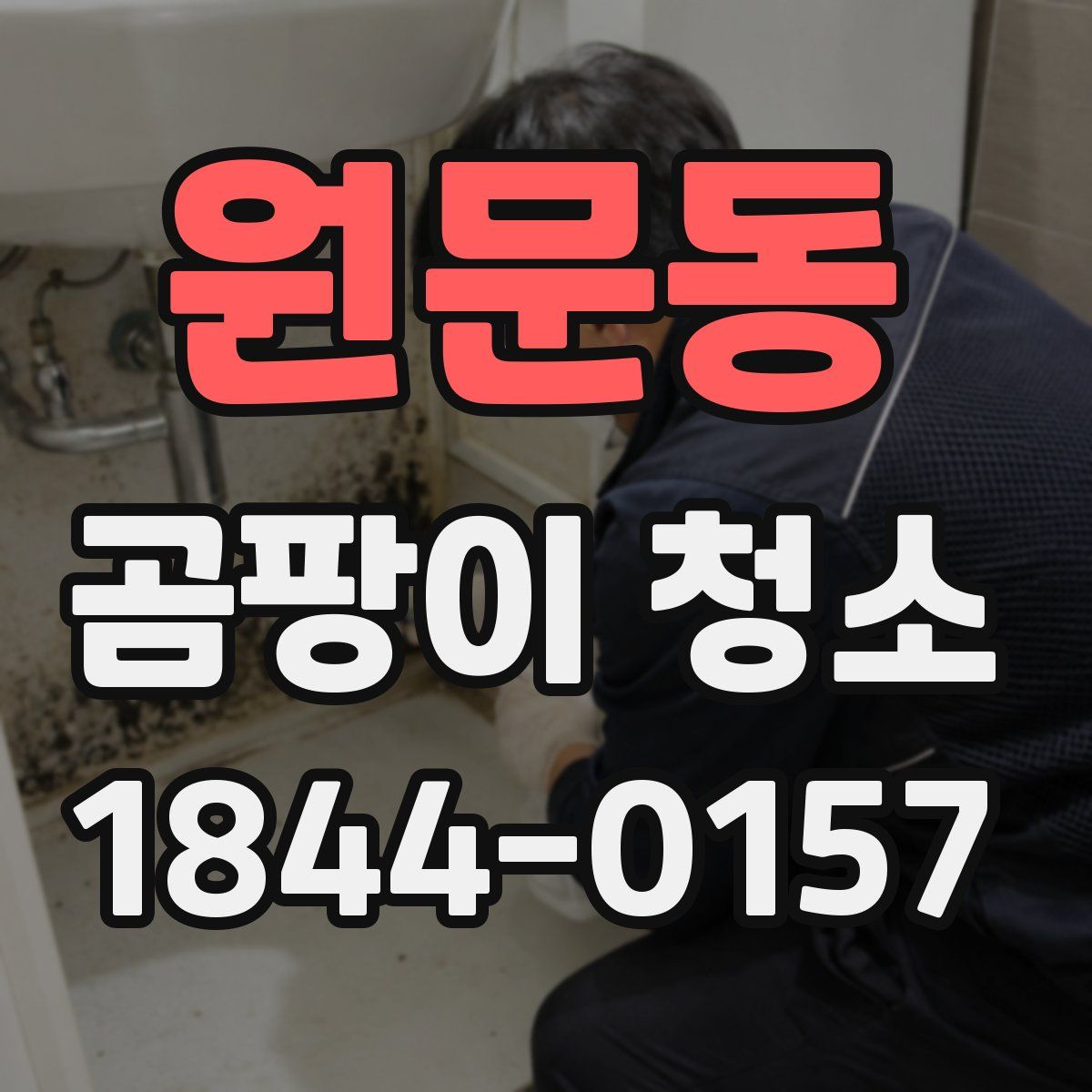 원문동 곰팡이 청소