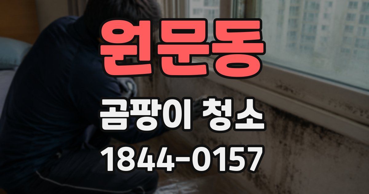 원문동 곰팡이 청소