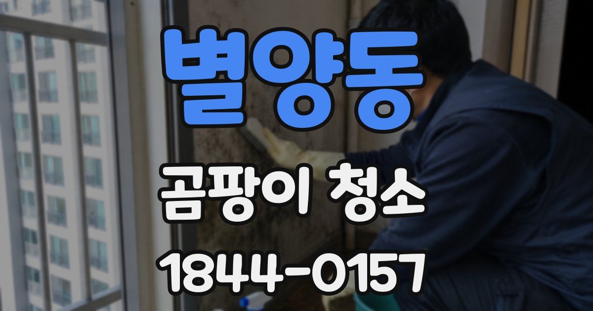 별양동 곰팡이 청소