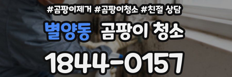 별양동 곰팡이 청소