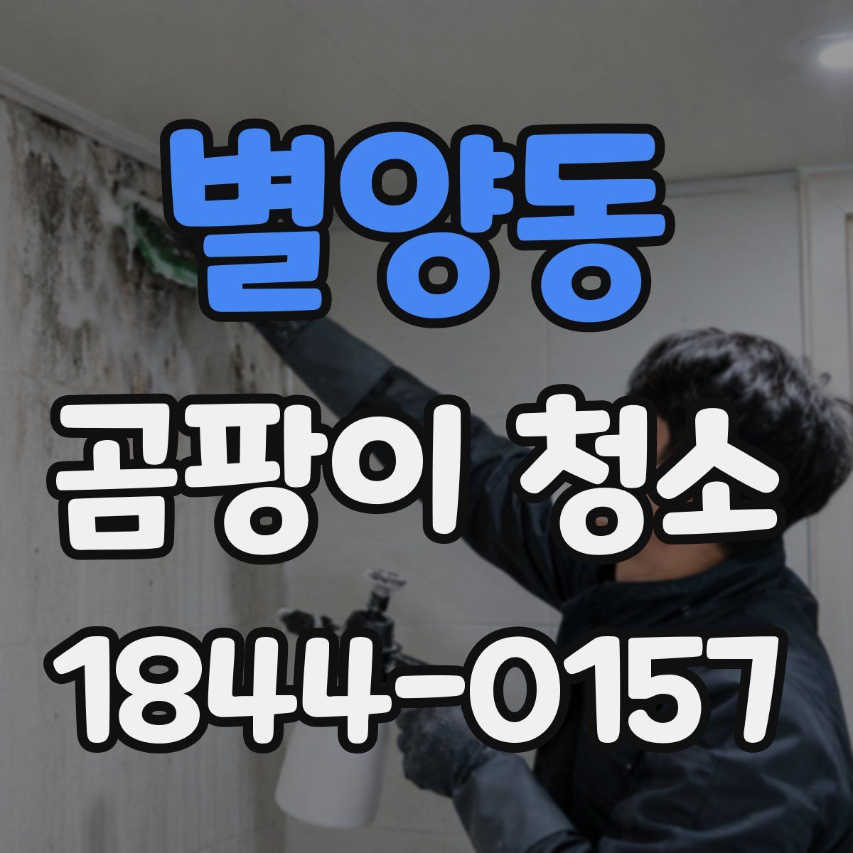 별양동 곰팡이 청소