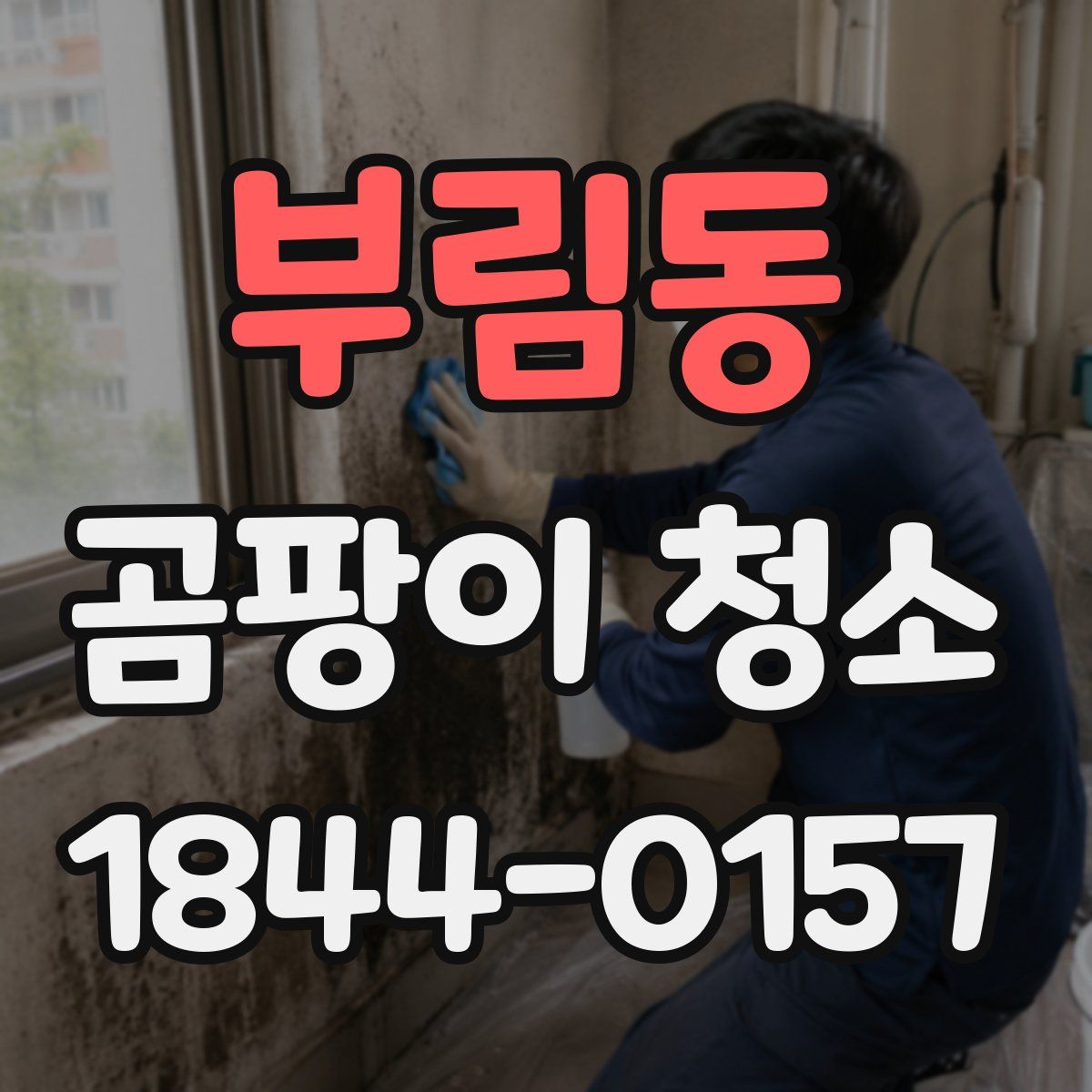부림동 곰팡이 청소