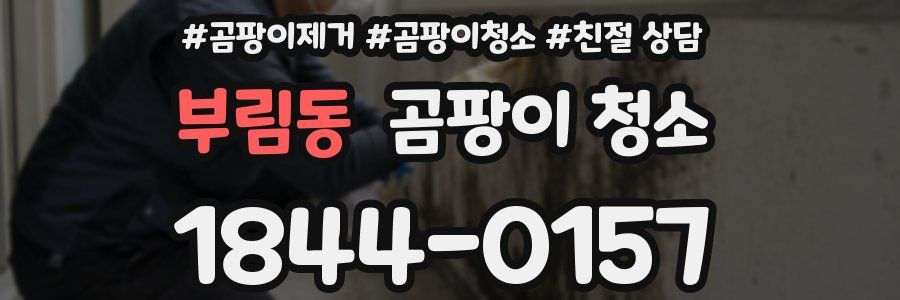 부림동 곰팡이 청소