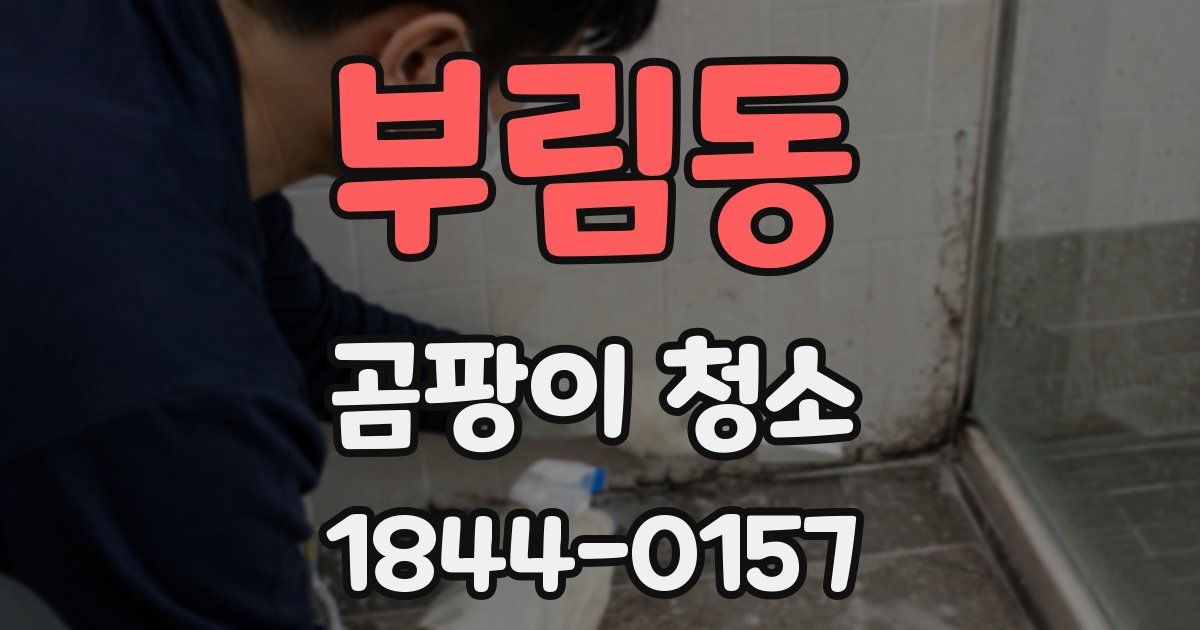 부림동 곰팡이 청소