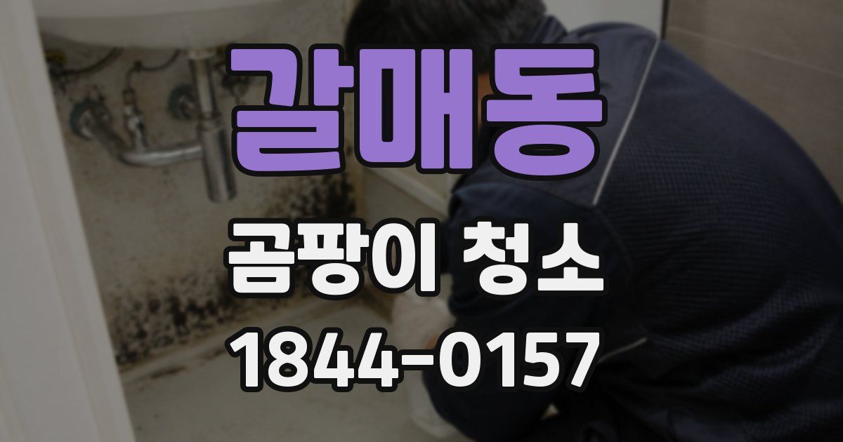 갈매동 곰팡이 청소