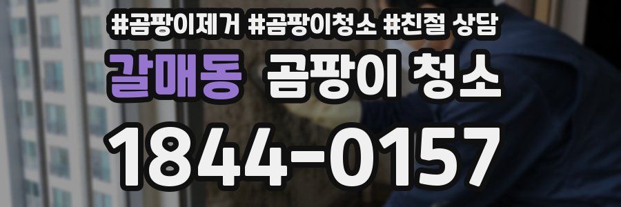 갈매동 곰팡이 청소